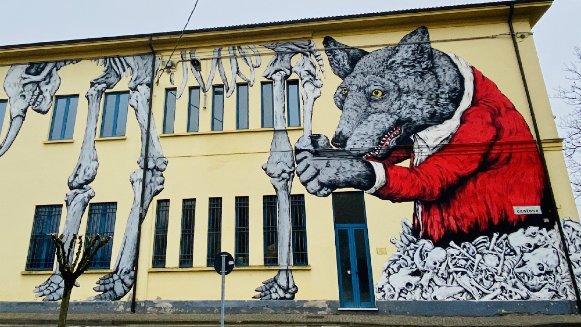 Immagine di Estinzione o evoluzione?