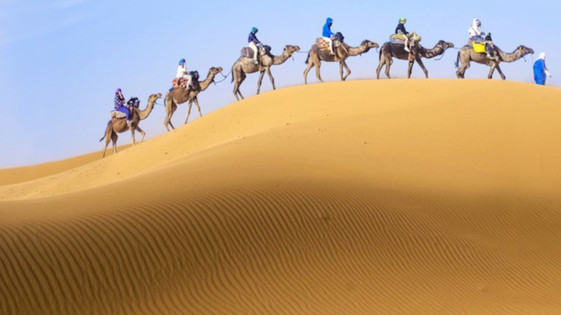 Immagine di Passeggiata nel deserto