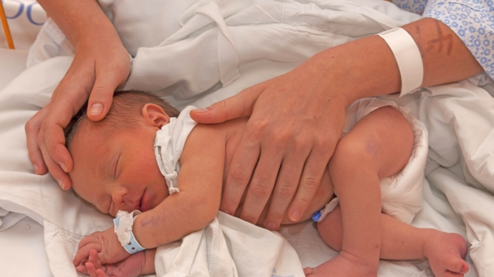Immagine di L’imprenditore che sostiene chi fa più figli