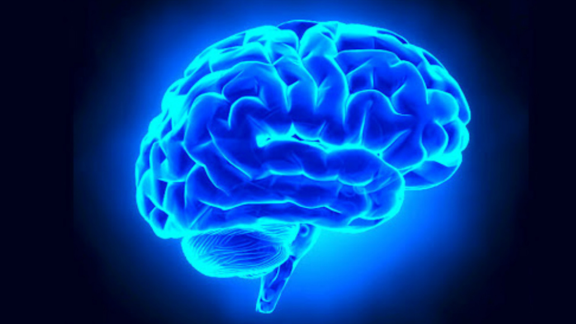 Immagine di «Un cervello virtuale per curare l'Alzheimer e l'epilessia»