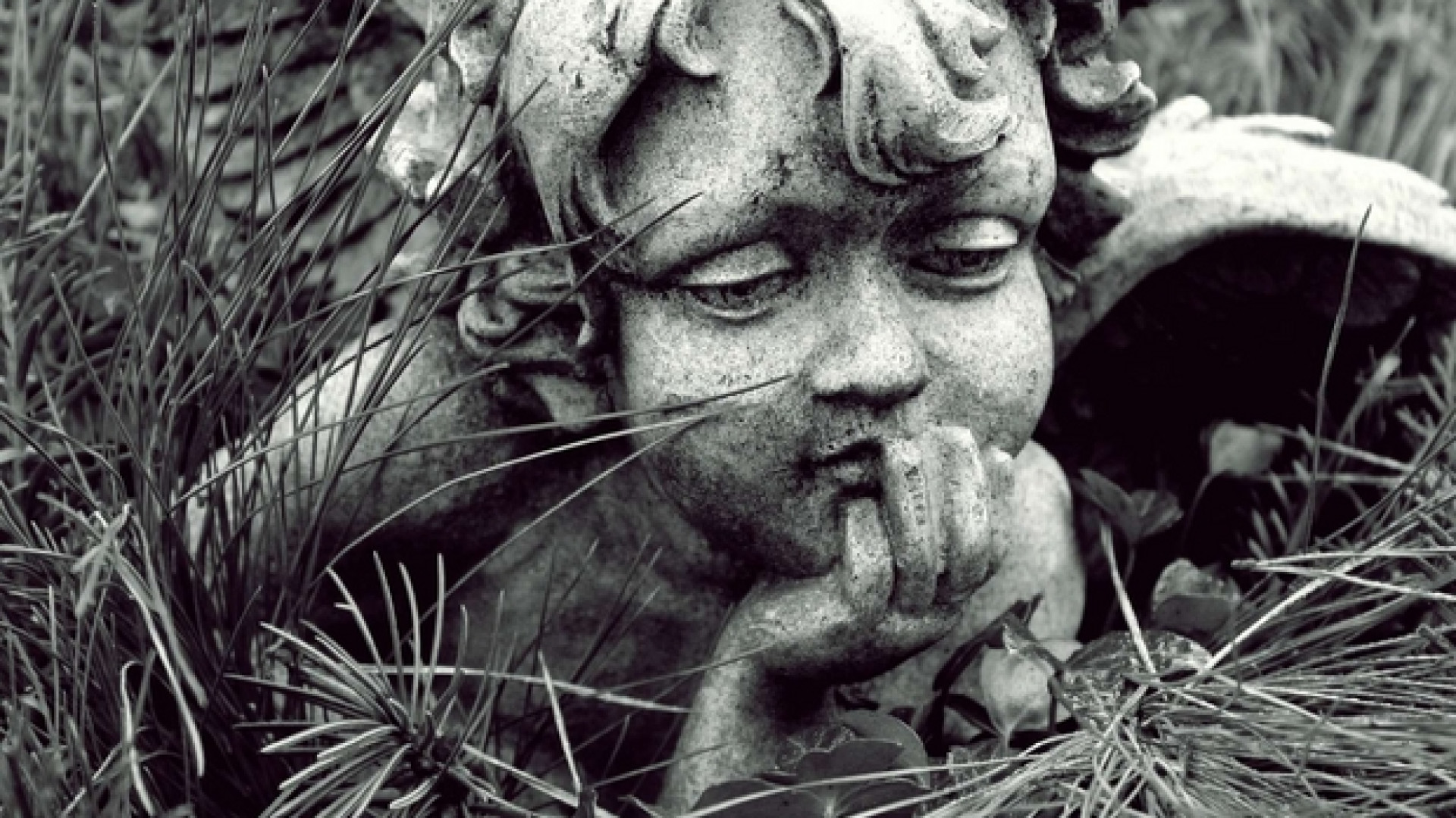 Immagine di Se il corpo è ridotto a concime