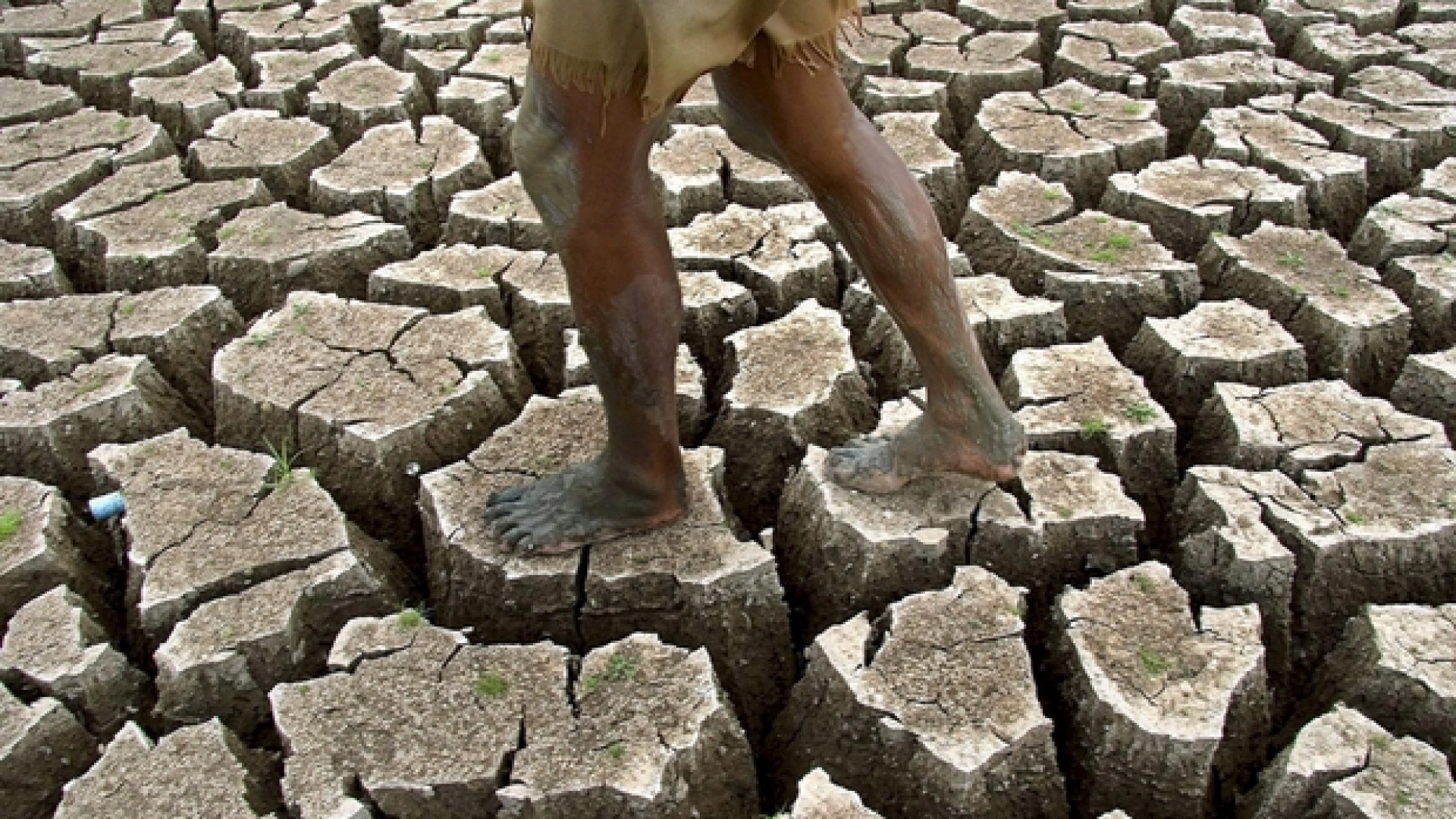 Immagine di La storia dell'umanità insegna a temere il clima che cambia