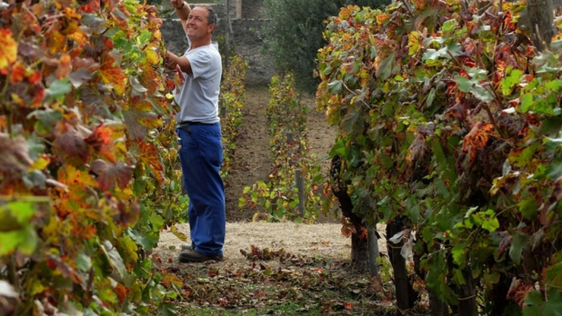Immagine di Italia prima in Ue per valore e lavoro
