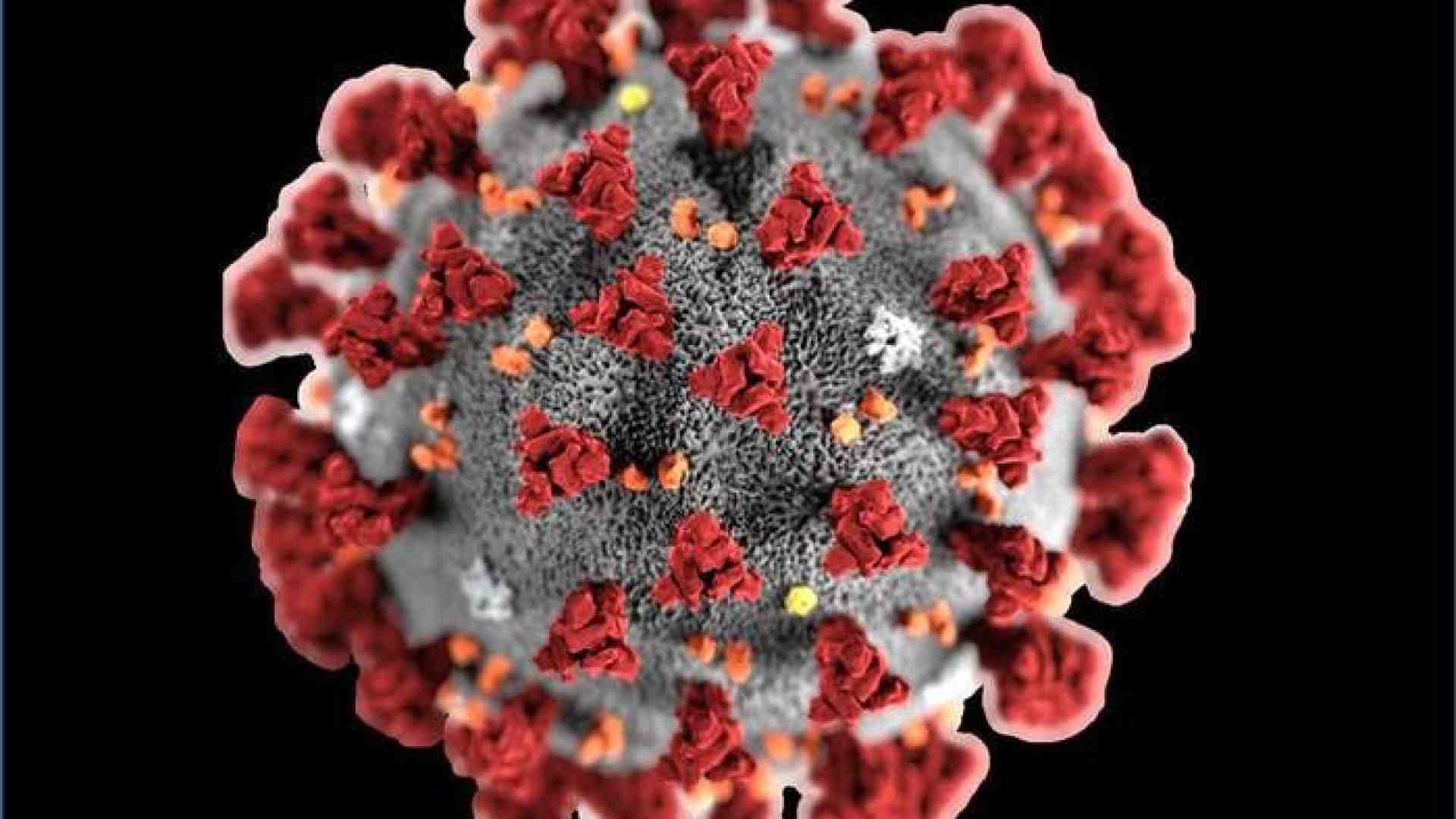 Immagine di Coronavirus. Sospese celebrazioni e attività pastorali in tutte le chiese di Verona