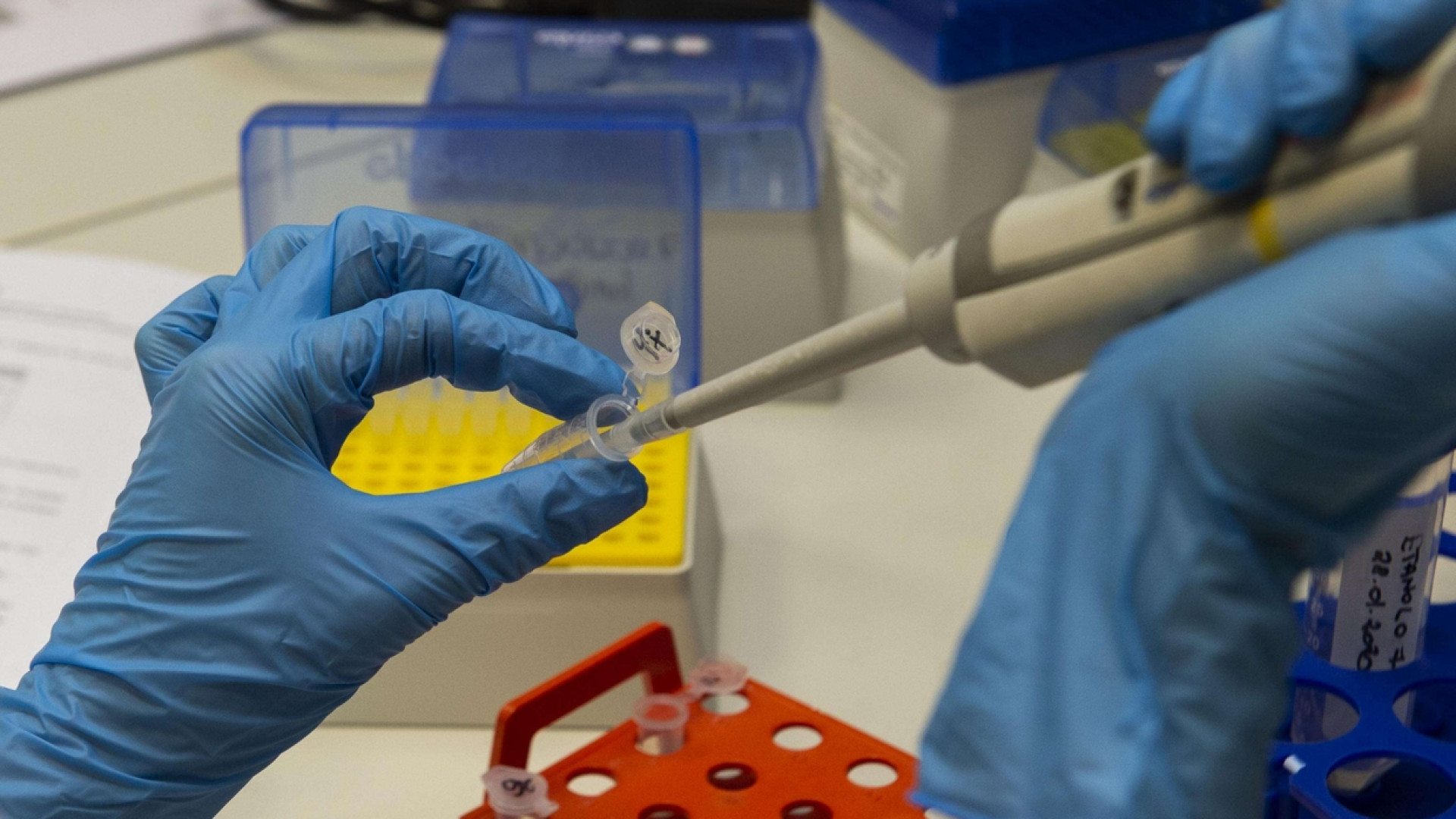 Immagine di «Non è la peste, ma neanche l'influenza. Ecco perché»