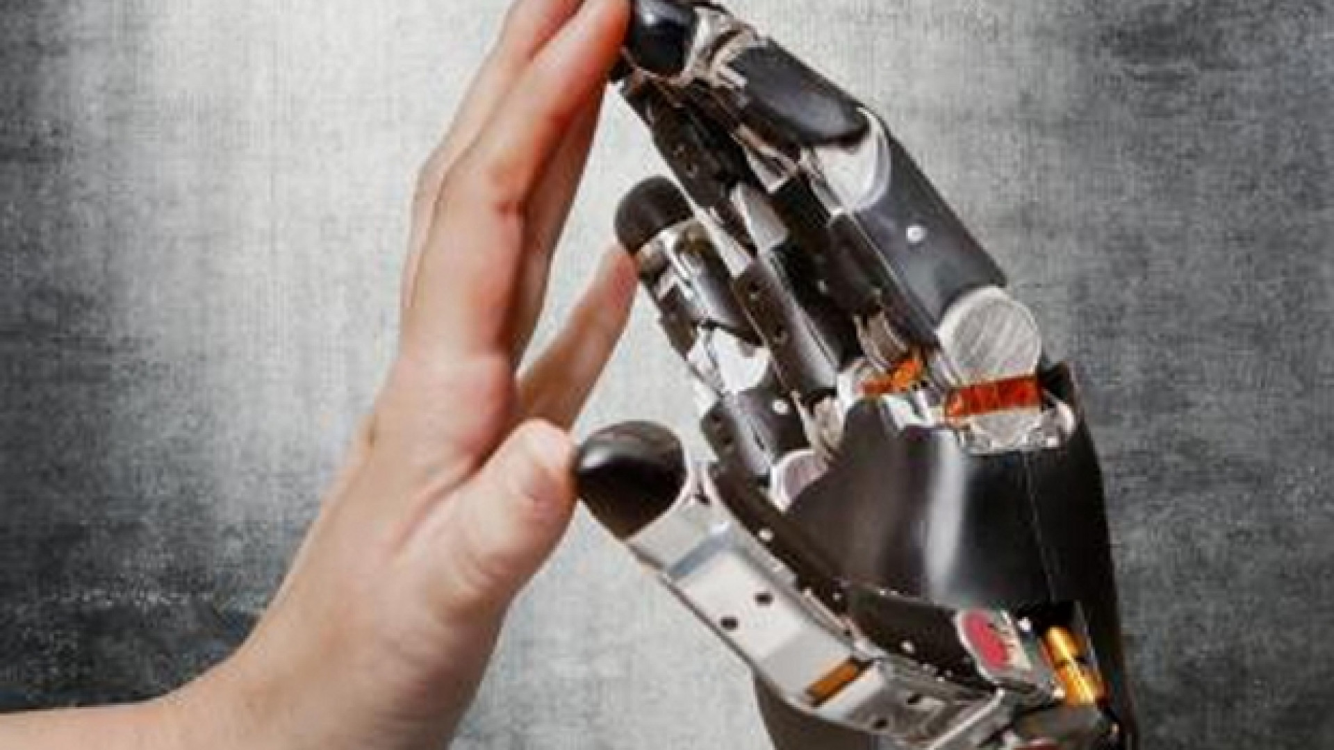 Immagine di Davvero il futuro sarà dei robot?