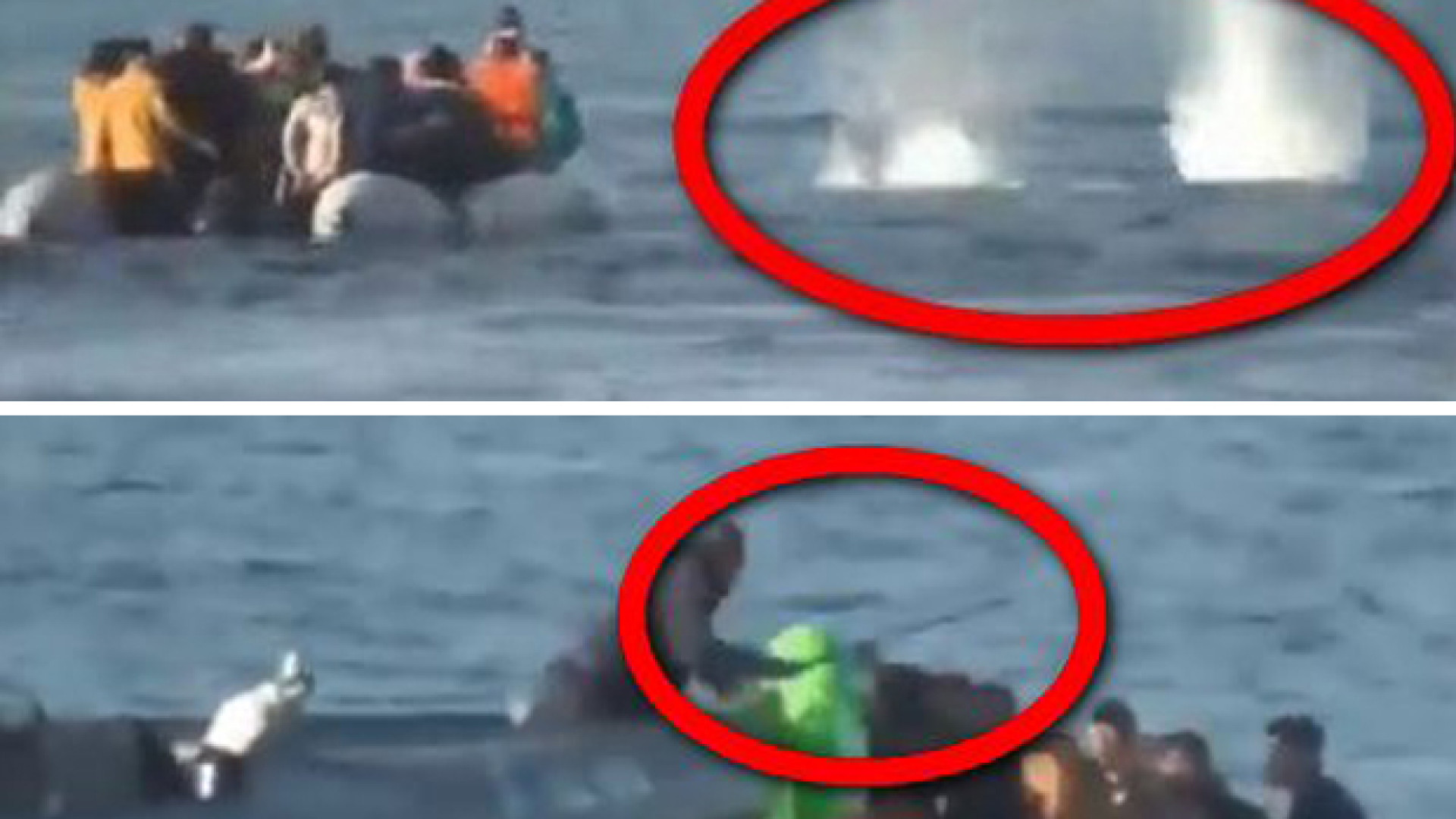 Immagine di Bimbo muore nel Mar Egeo. Il video-choc dei "respingimenti" greci