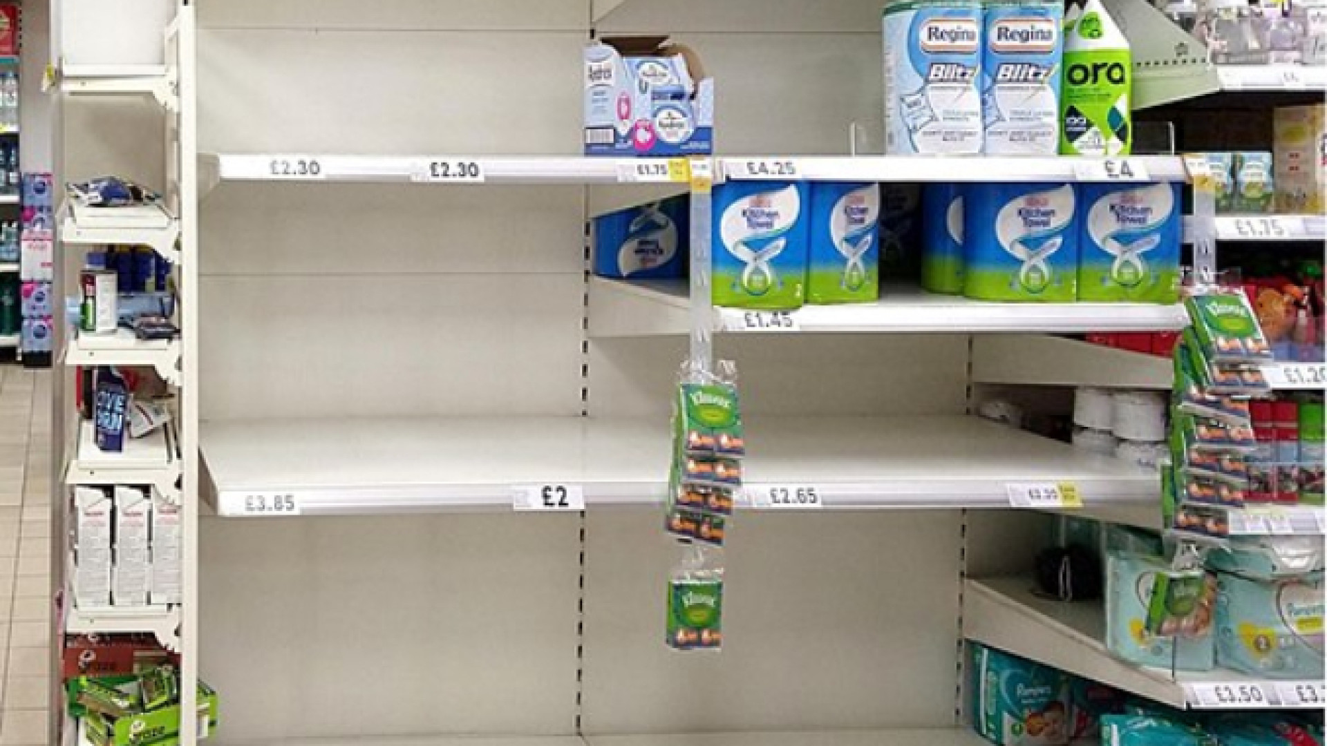 Immagine di Carta igienica e conti bancari, stesso panico. Ecco i rimedi alla crisi