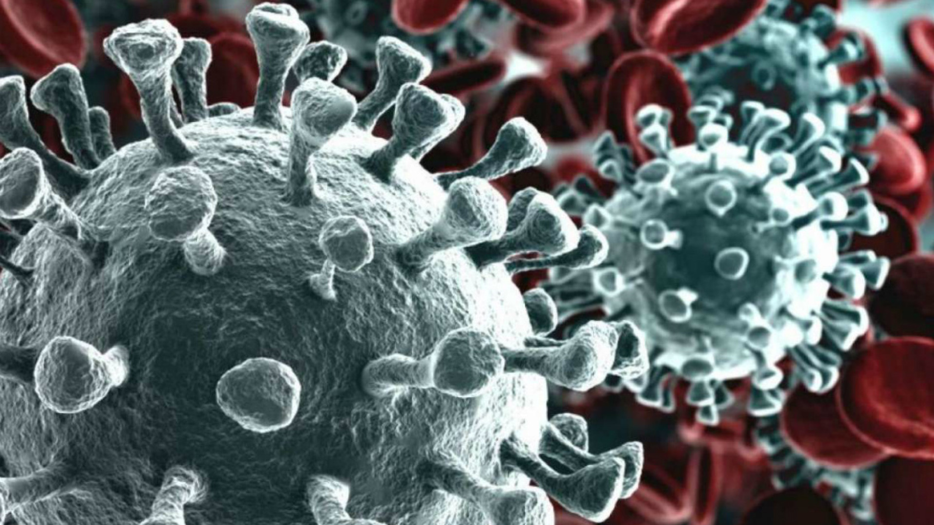 Immagine di Coronavirus, a Cremona 2.073 casi positivi (+ 192)