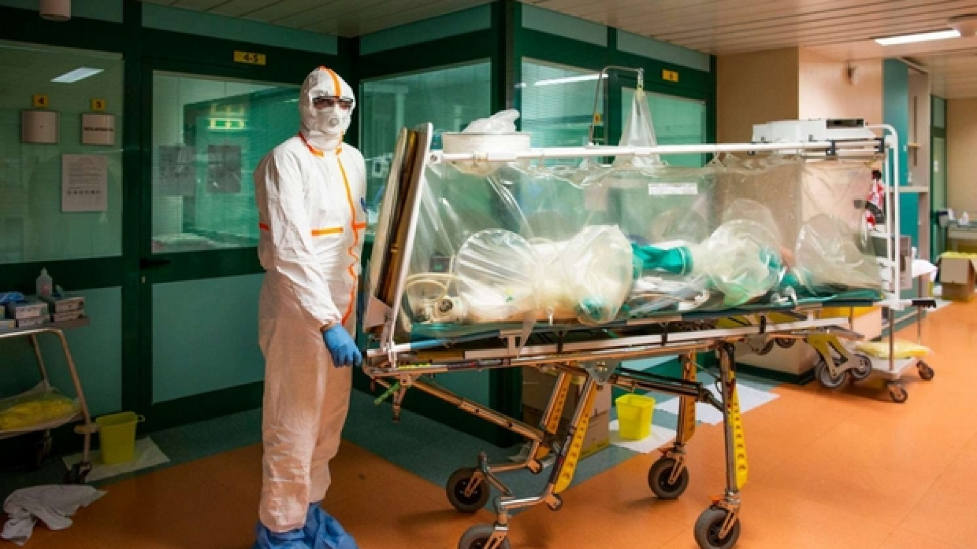 Immagine di Coronavirus, effetti pesanti sulla mortalità e la natalità