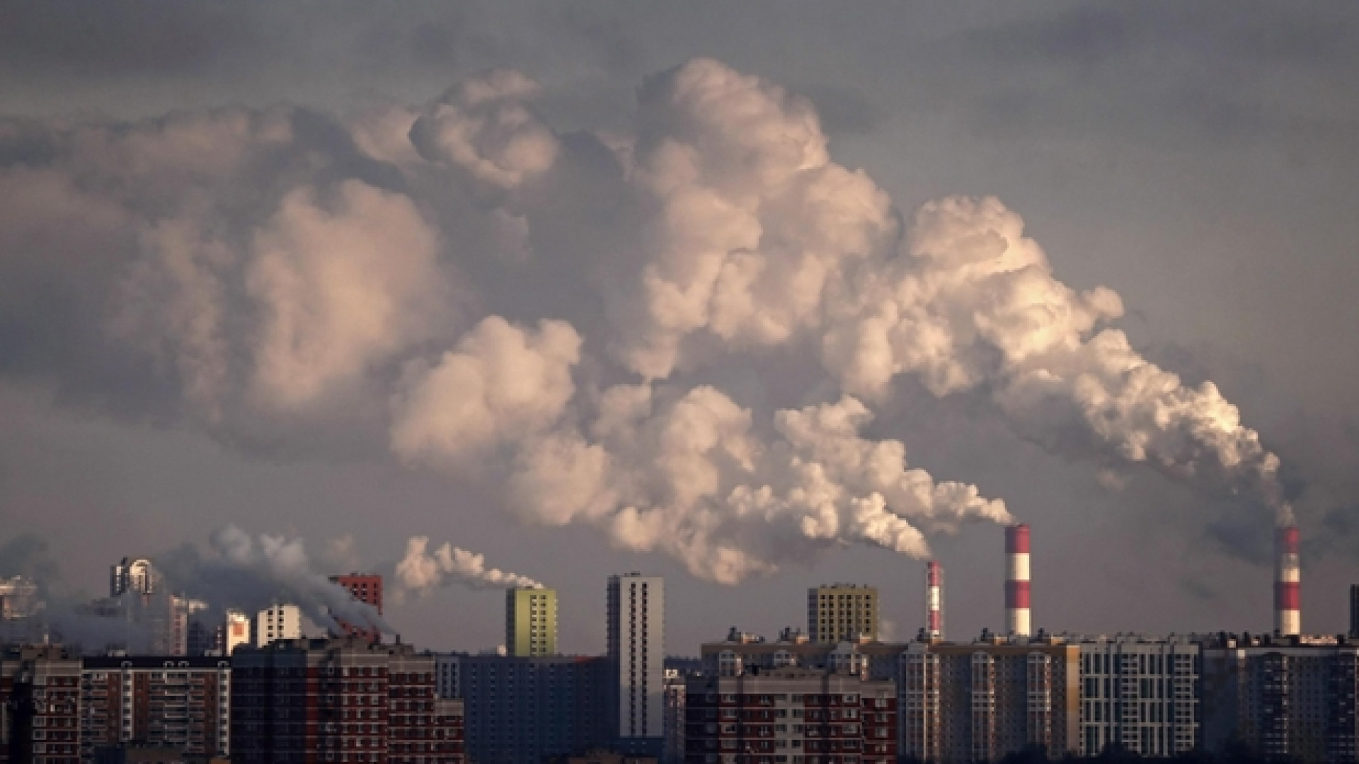 Immagine di Con questo clima nel mondo i virus non ci daranno tregua