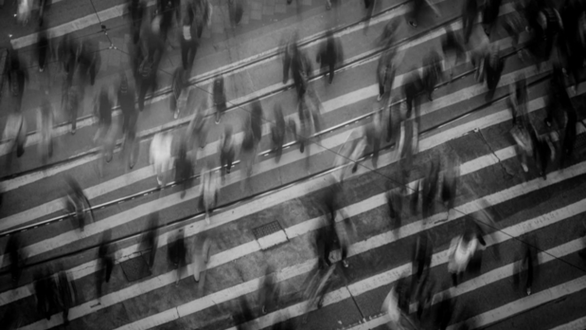 Immagine di Paura e comunità: il mito della prova che ci riduce a individui egoisti
