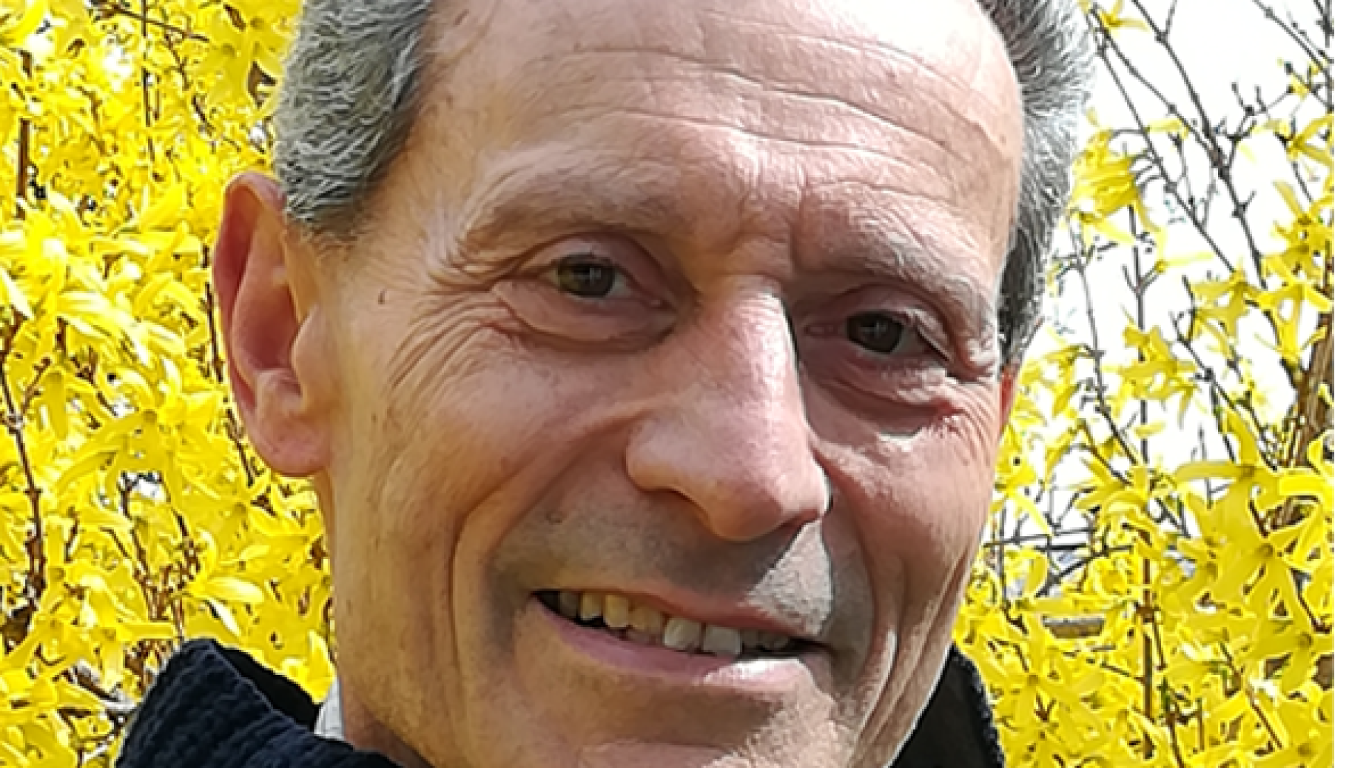 Immagine di Diario di un medico, soldato semplice