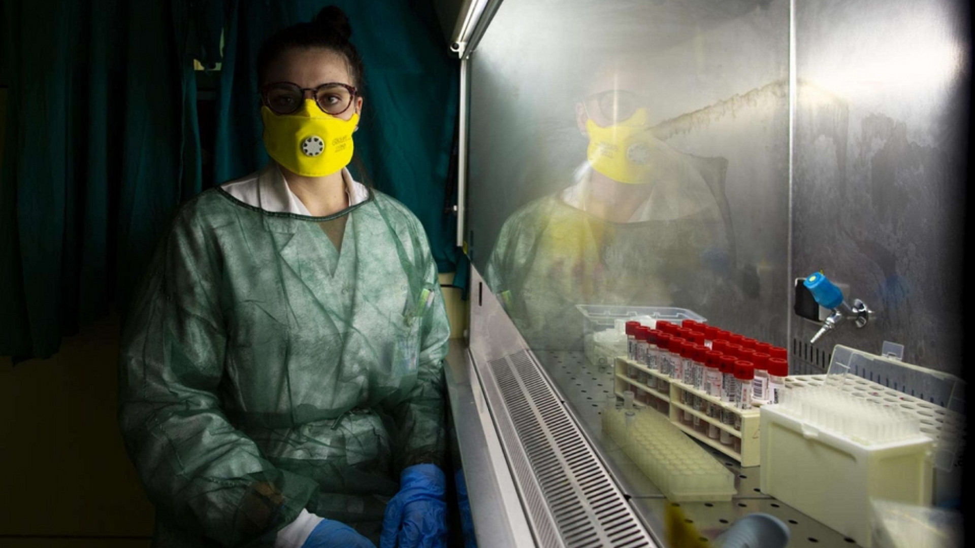 Immagine di "Un test italiano del sangue per capire chi è già immune"