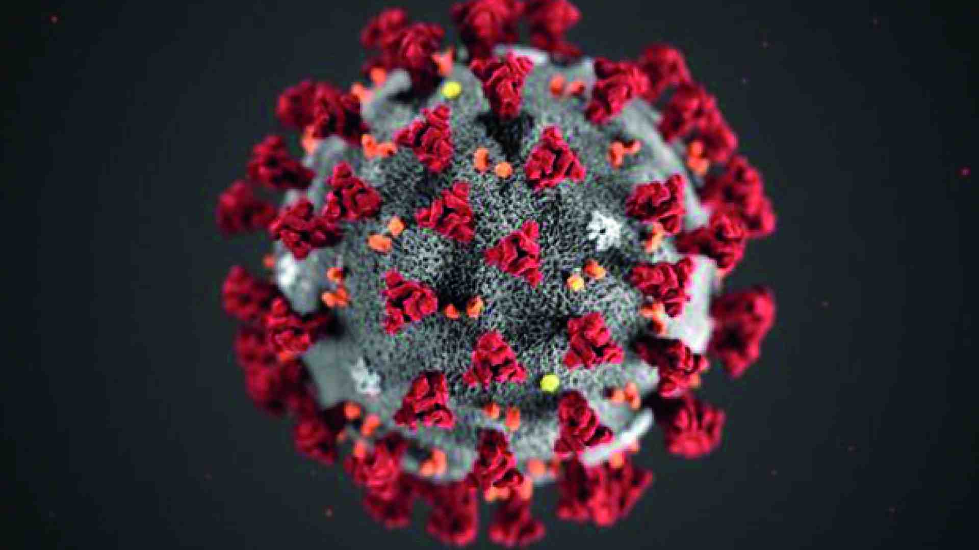 Immagine di Risoluzione del contratto per Coronavirus