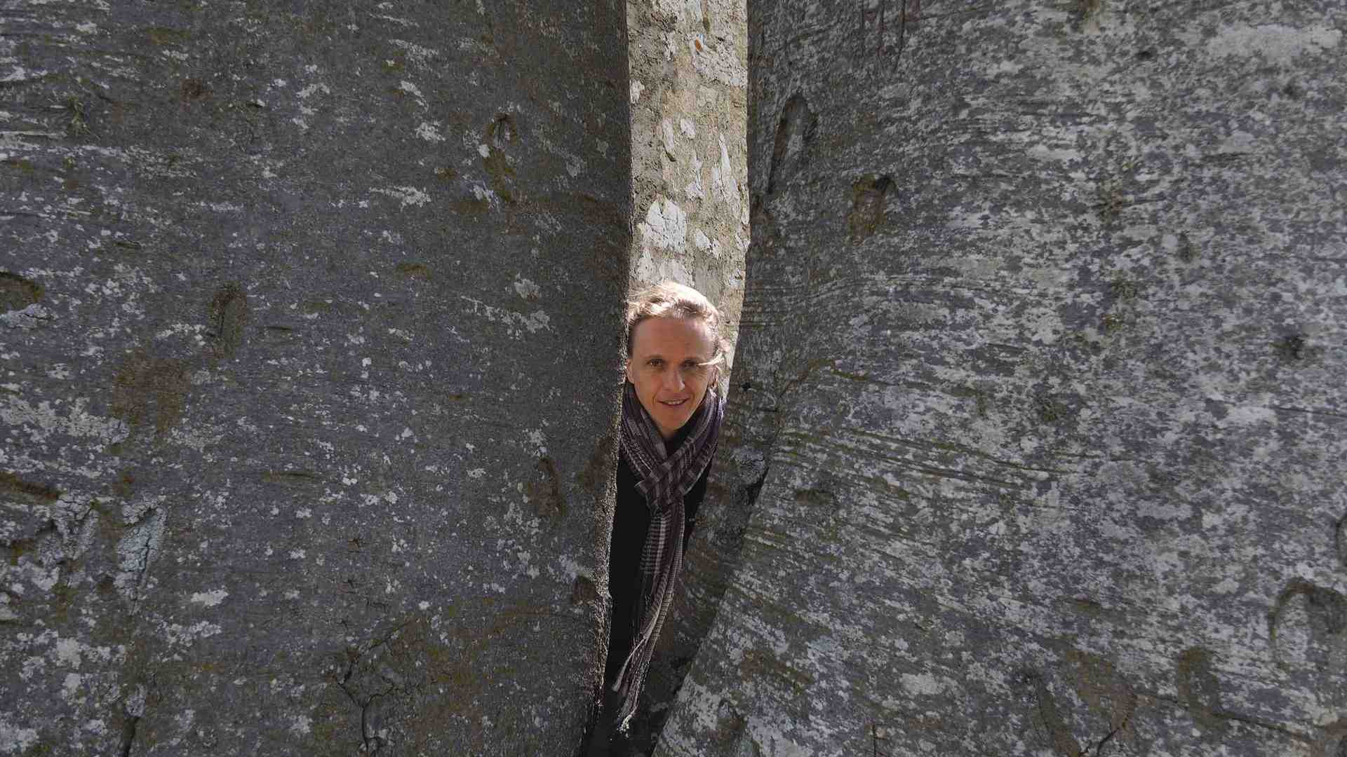 Immagine di Filò in streaming per la storia di Lessinia e Montebaldo