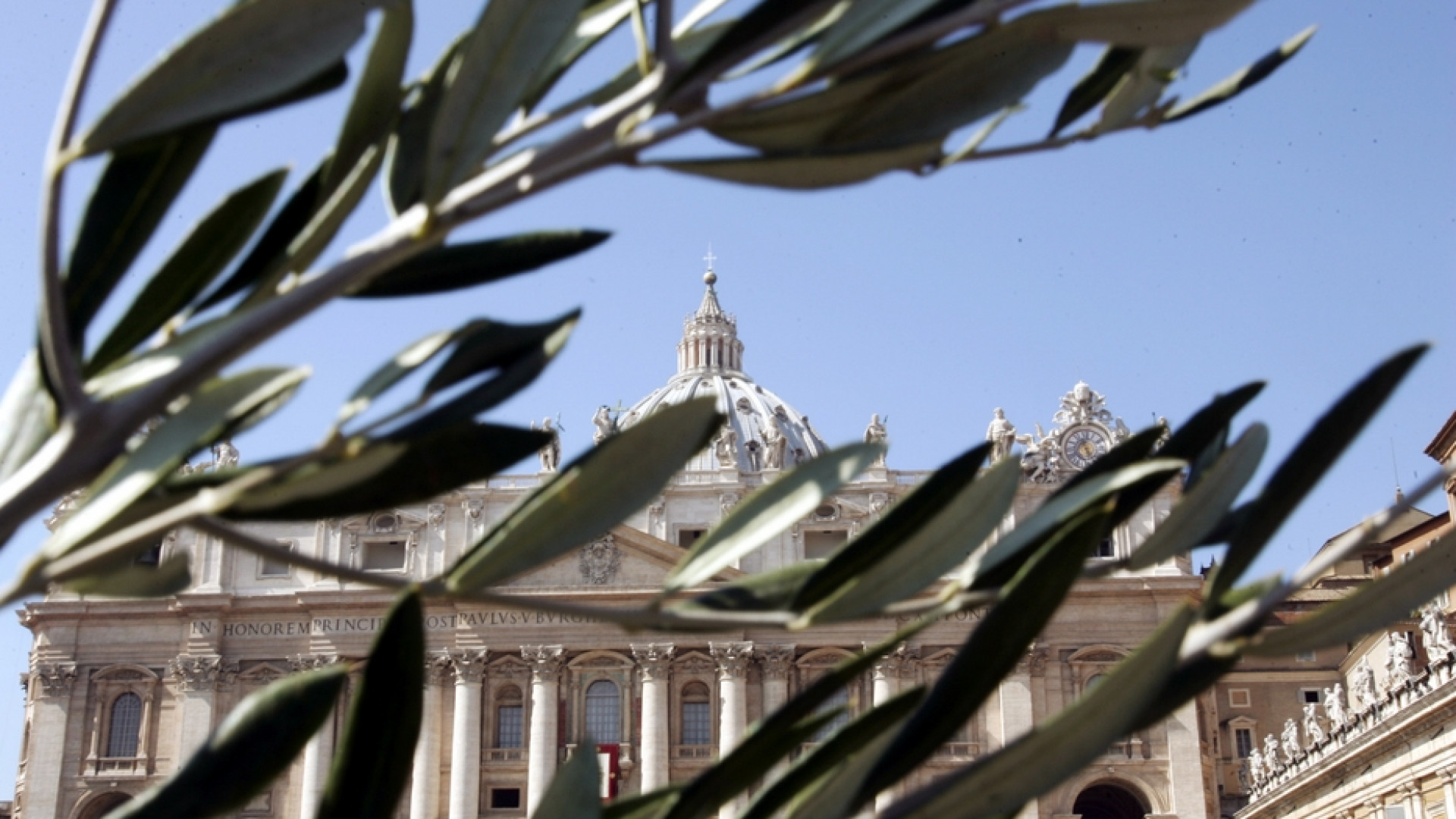 Immagine di Domenica delle Palme senza ulivo? La Cei: «Basta una pianta verde»