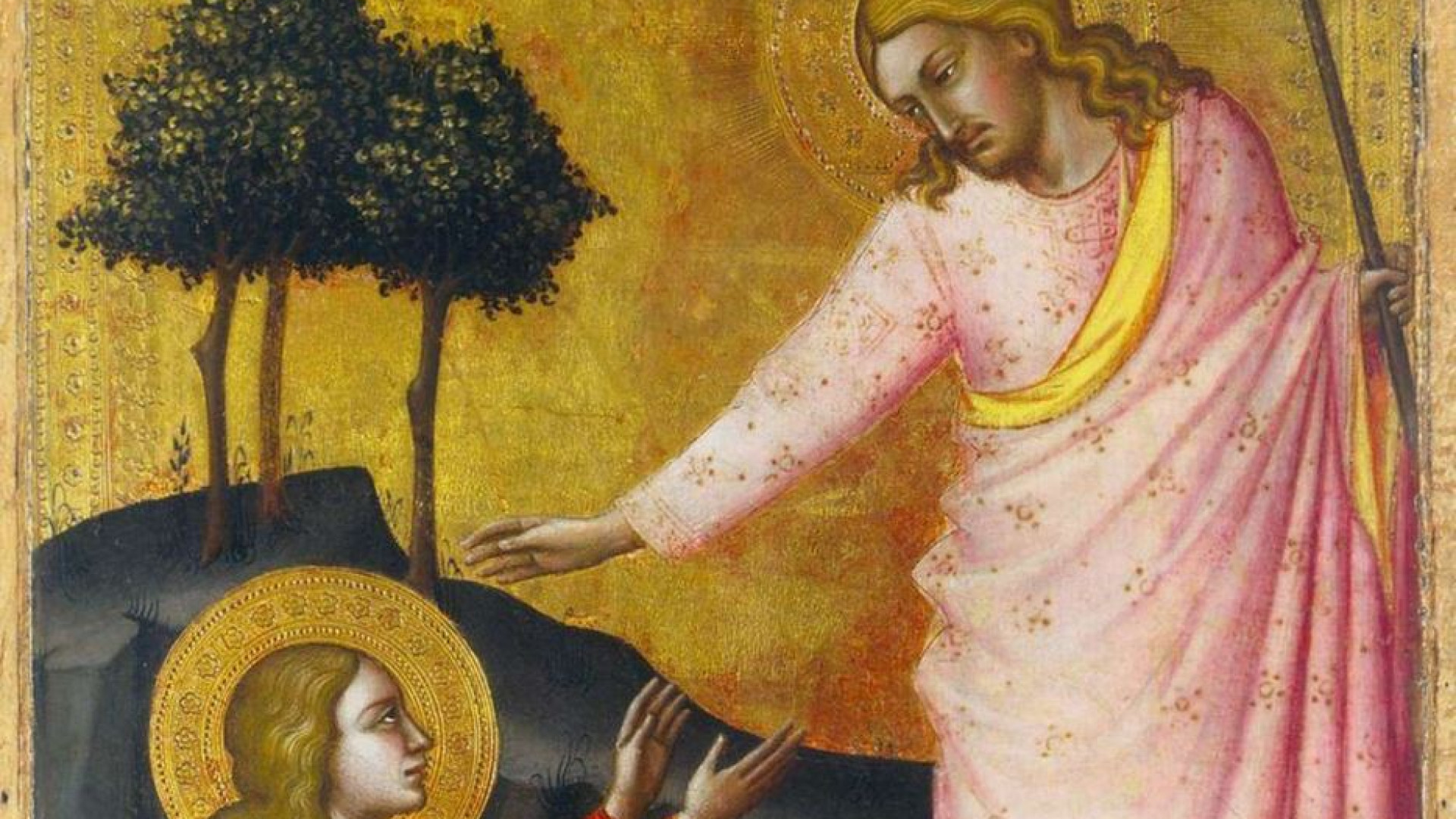 Immagine di Non un'idea ma un fatto si è imposto agli apostoli
