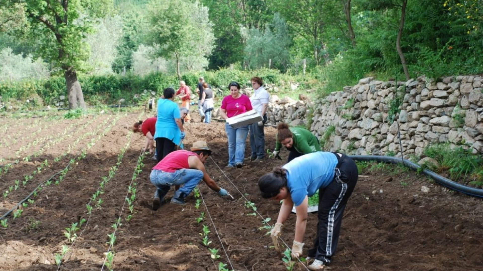 Immagine di Coldiretti: lavoro nei campi, al via la piattaforma jobincountry
