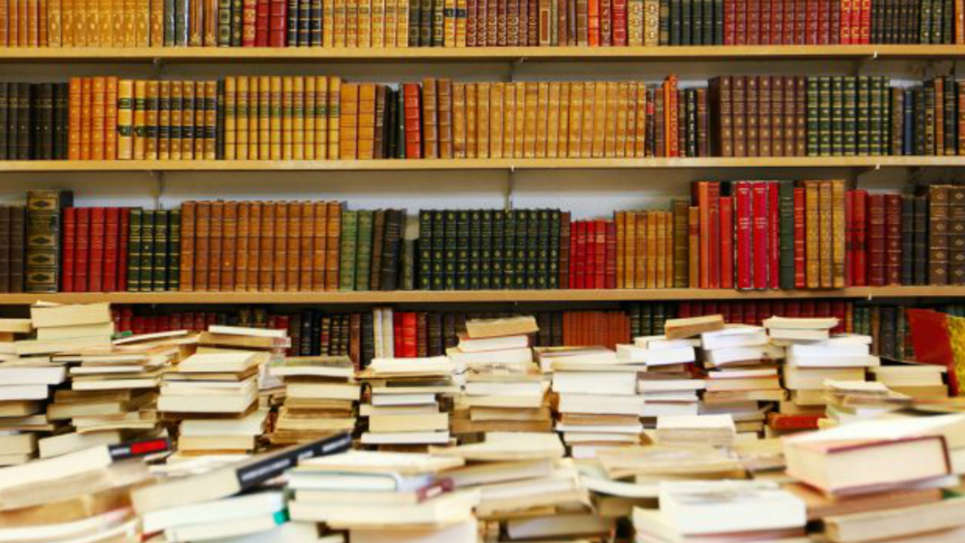 Immagine di Servizi bibliotecari Cremona e Brescia insieme