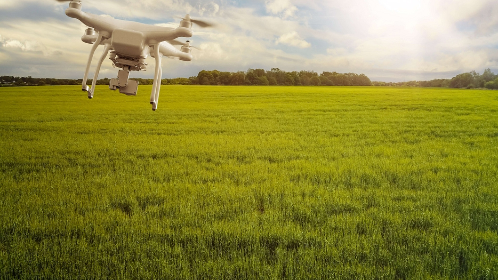 Immagine di I droni amici dell'agricoltura