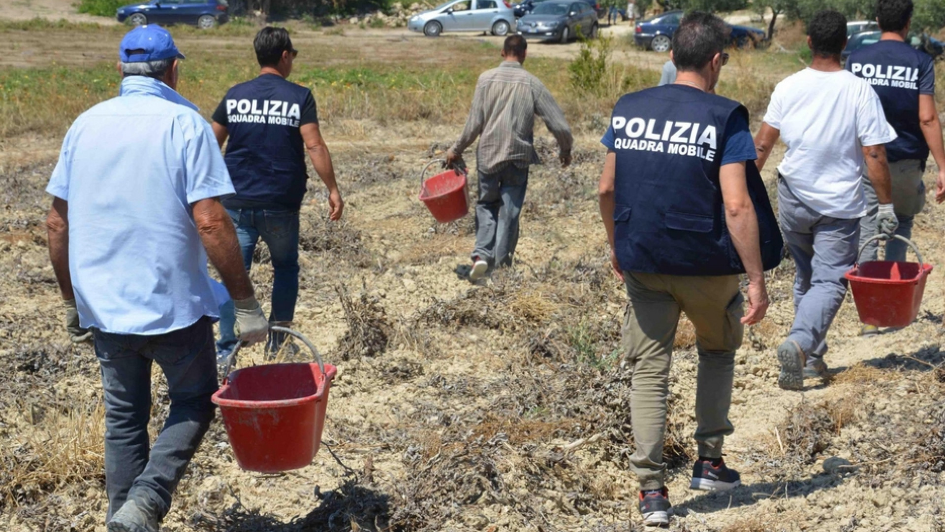 Immagine di Caporalato, più di metà delle inchieste sono al Centro-Nord