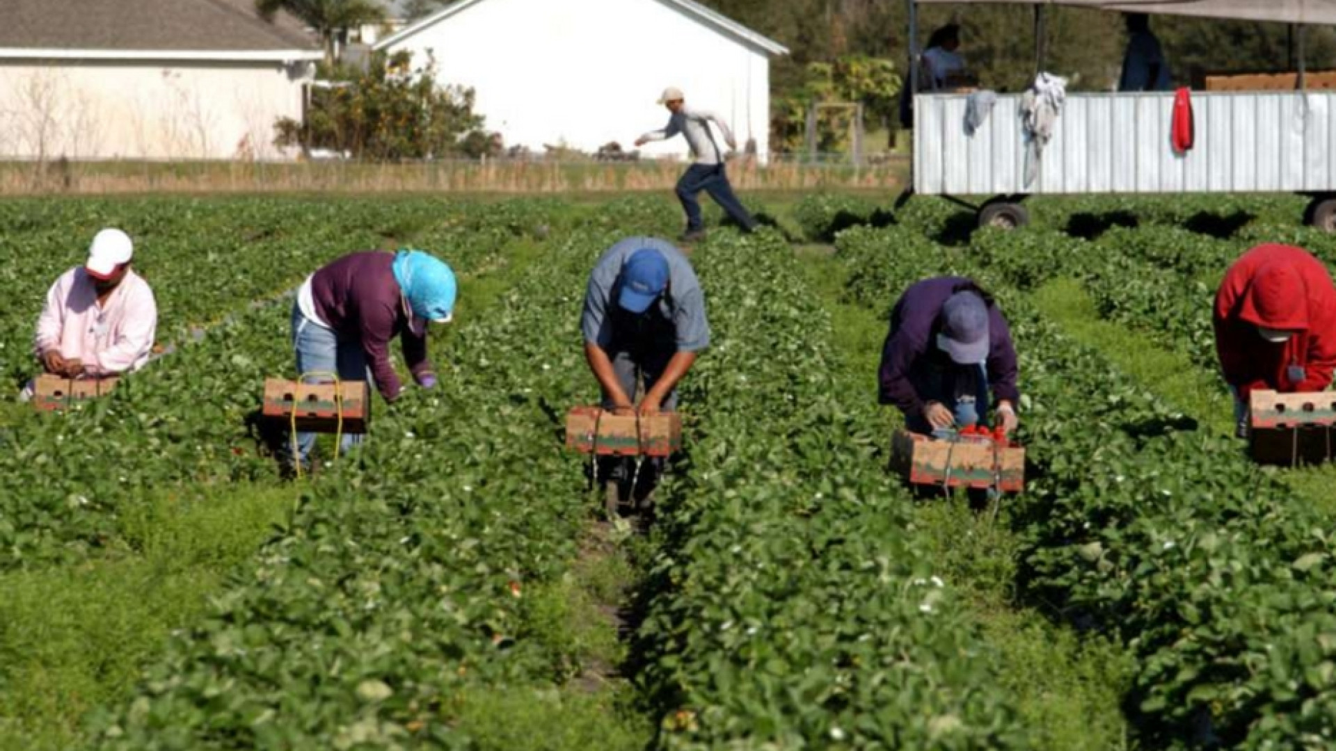 Immagine di Lavoratori stranieri: cosa fare per "emergere"