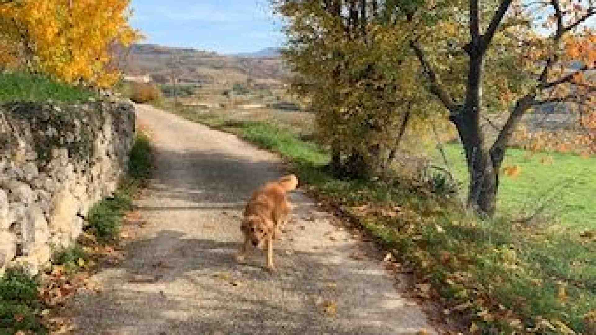 Immagine di Valgatara: dove la Valpolicella mette in mostra il meglio di sé
