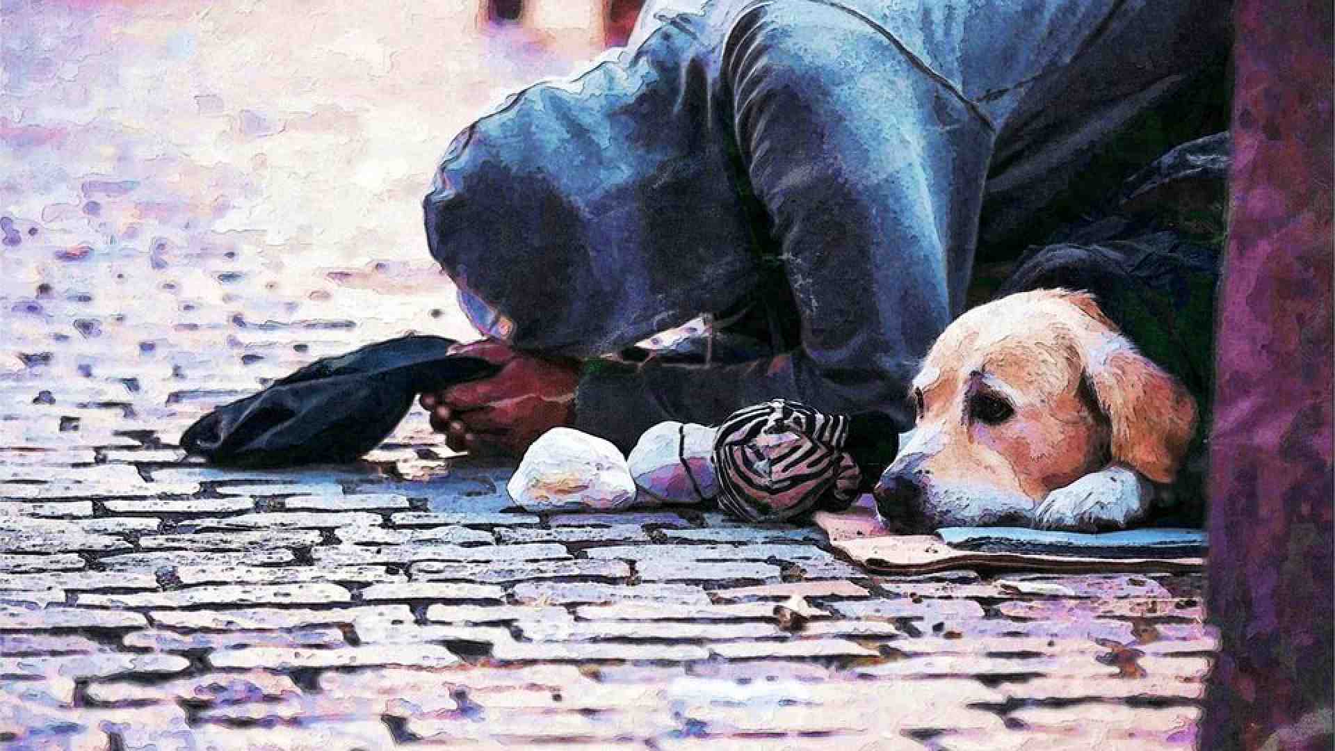 Immagine di La battaglia del Samaritano per salvaguardare gli ultimi