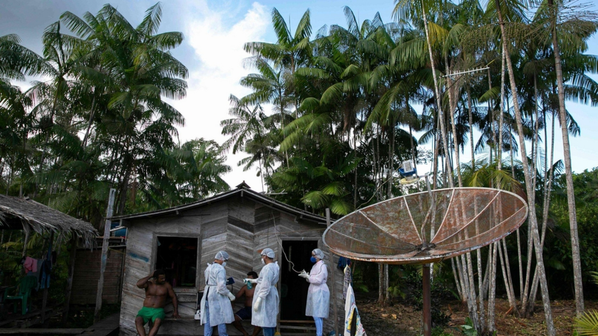 Immagine di Artisti e scienziati rispondono al grido di aiuto dei popoli dell'Amazzonia