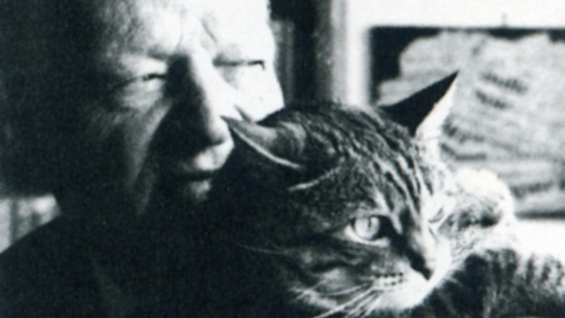Immagine di Ungaretti sospeso tra notte e alba
