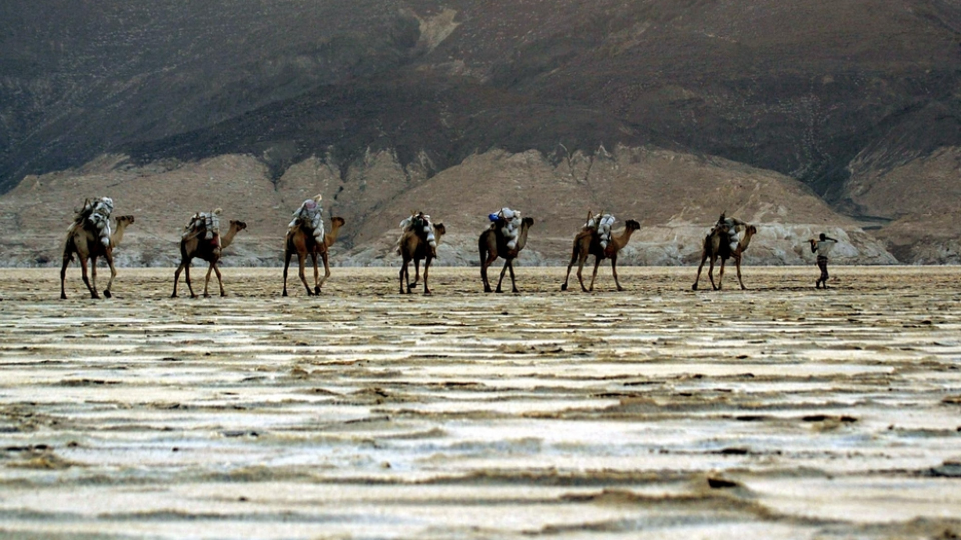 Immagine di Eritrea, il regime sferza l'ex Dancalia. «Noi vessati con la scusa del Covid»