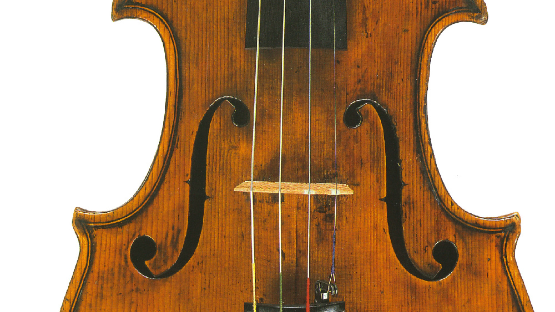 Immagine di Il violino di Rota esposto al MdV