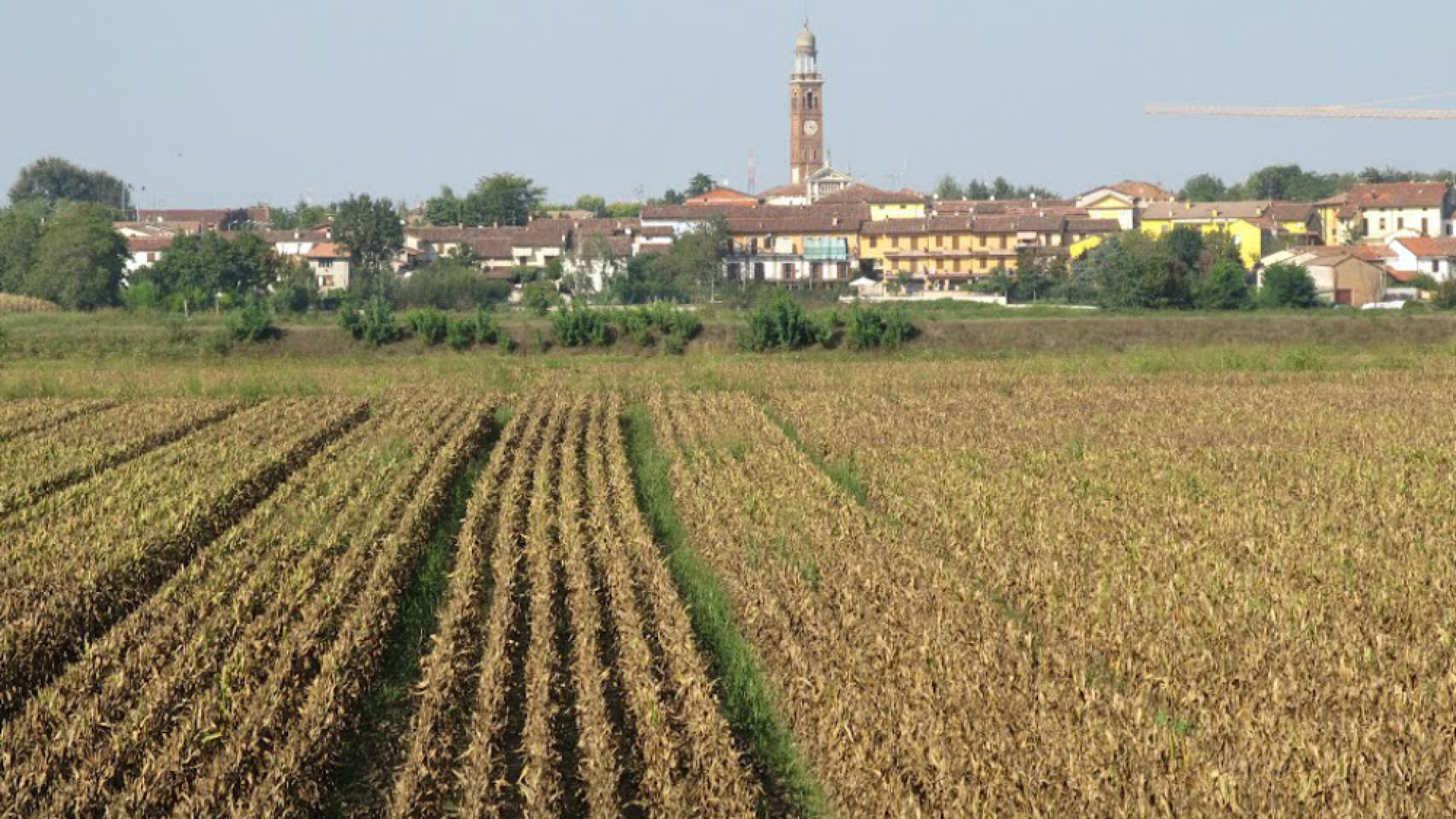 Immagine di La banda partigiana di Spinadesco