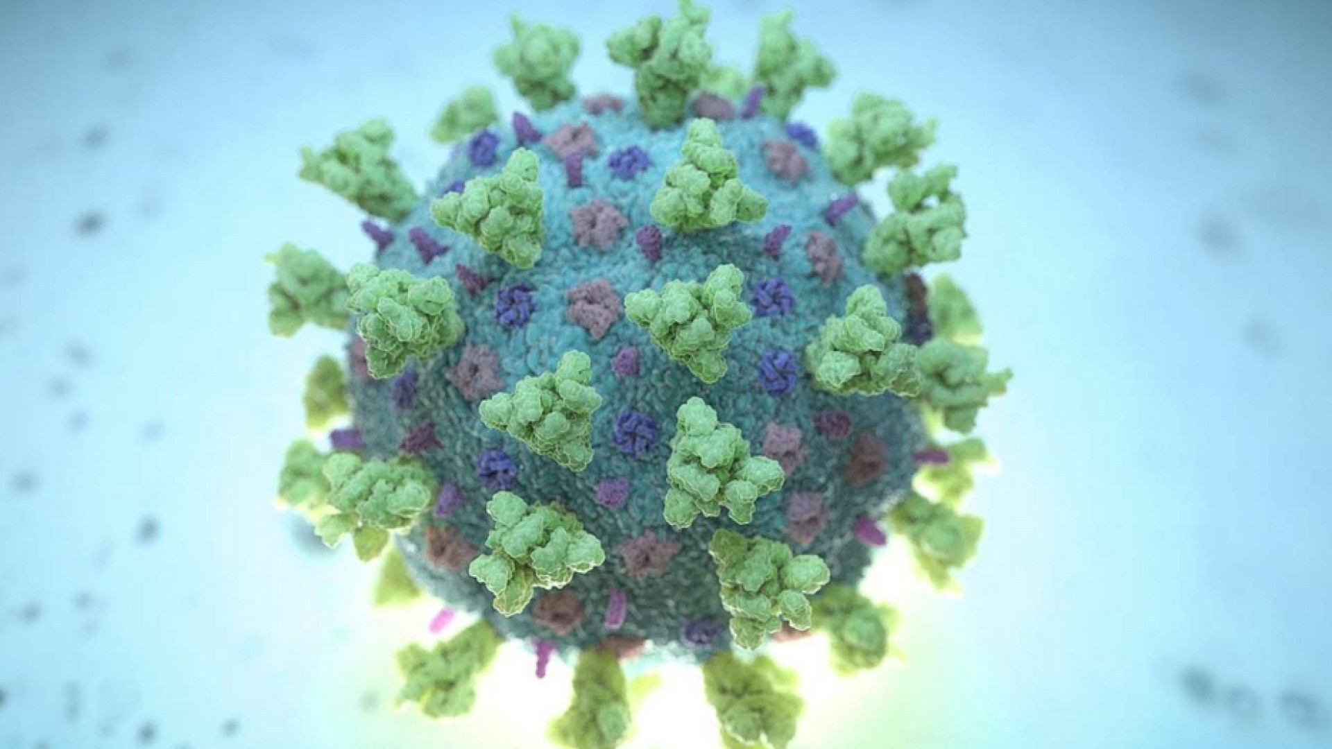 Immagine di C'è la prova: è il lockdown ad aver cambiato il virus