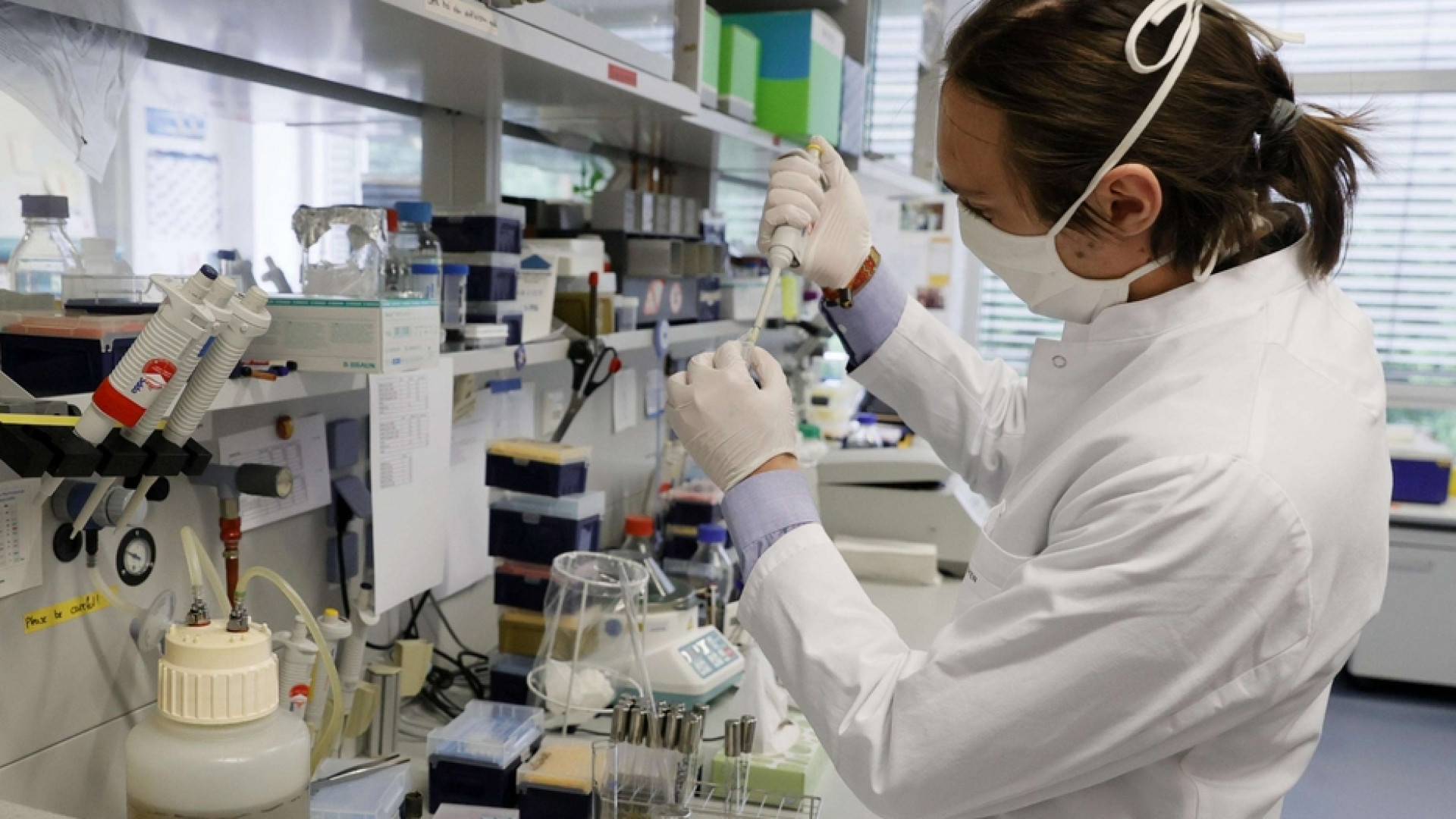 Immagine di «Il virus è mutato». Così il ceppo cinese è diventato più contagioso