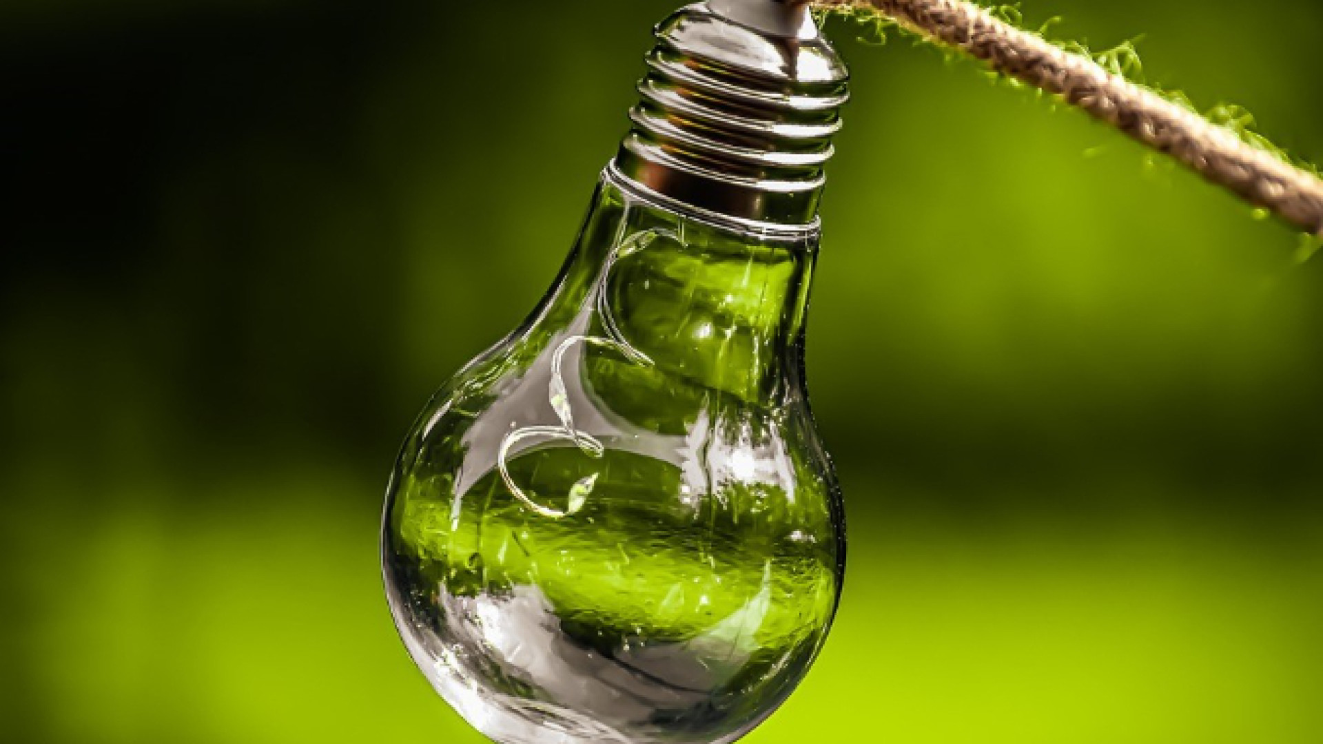 Immagine di Il settore energetico non conosce crisi