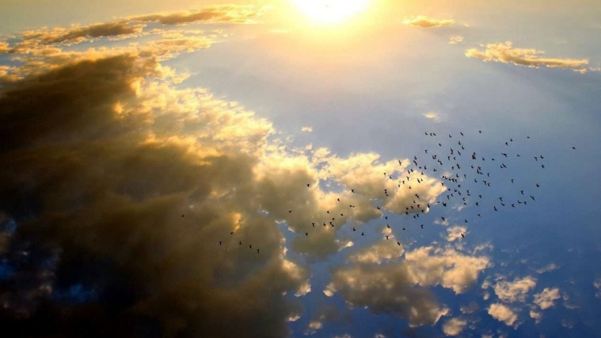 Immagine di La Laudato si' in cammino