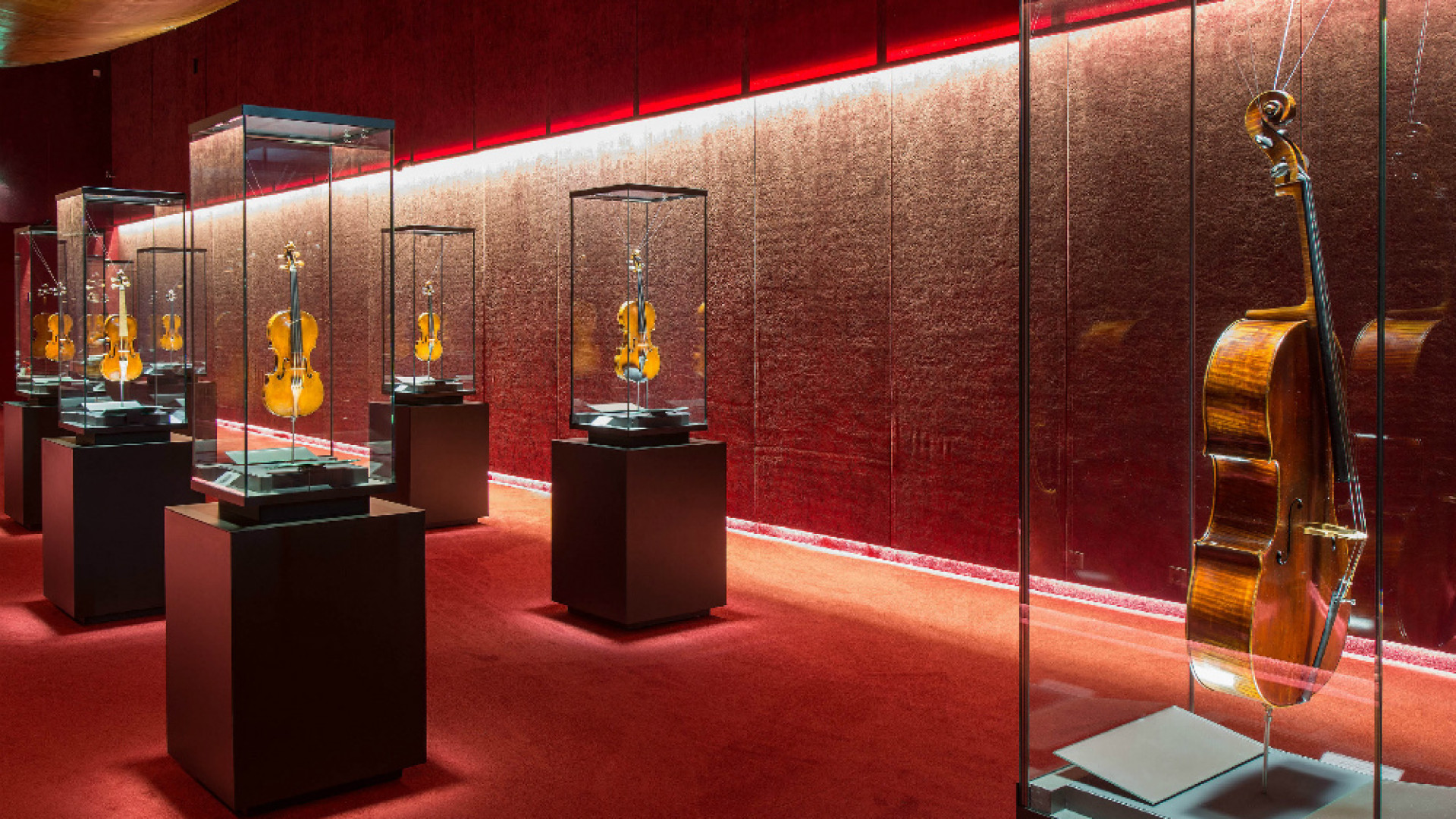 Immagine di Un invito al Museo del Violino