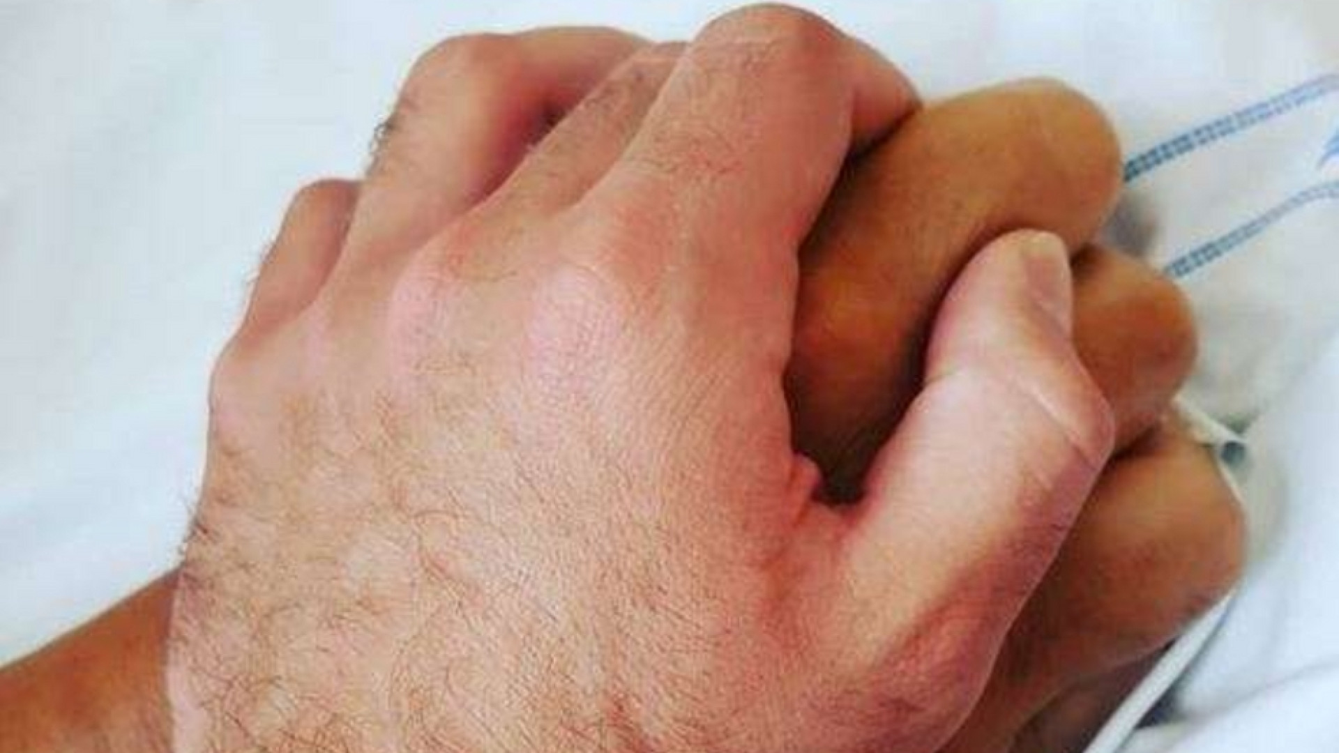 Immagine di Il Papa scrive a Zanardi: «Prego per te». Il figlio: non lascio la tua mano