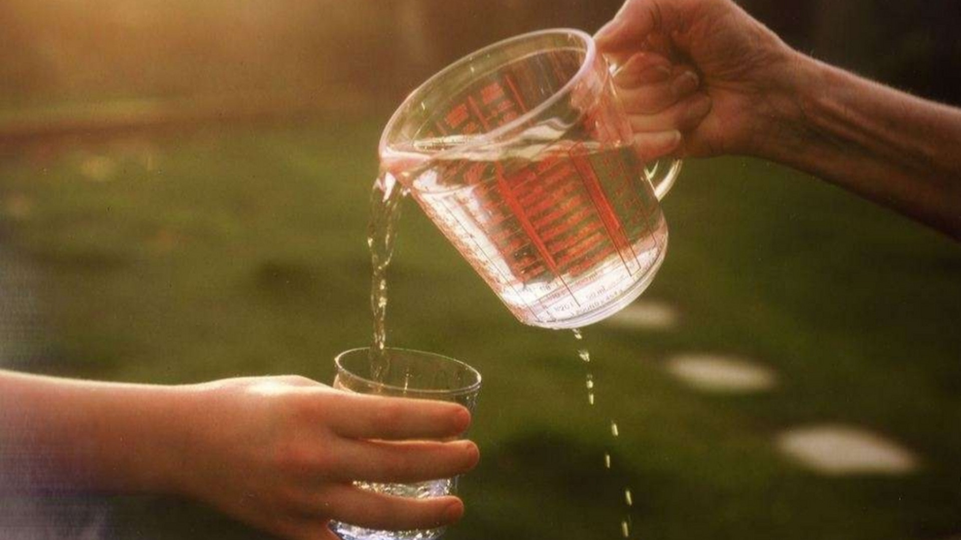 Immagine di Chi dona con il cuore rende ricca la sua vita