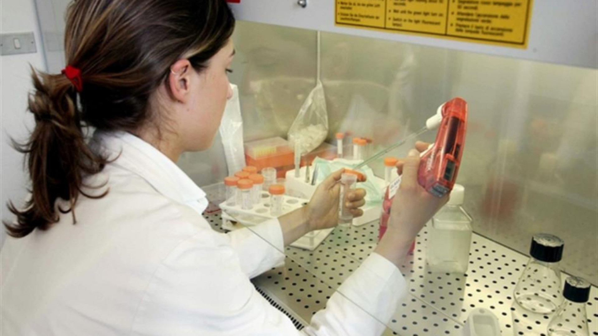 Immagine di Farmaceutica, cresce la richiesta di manutentori