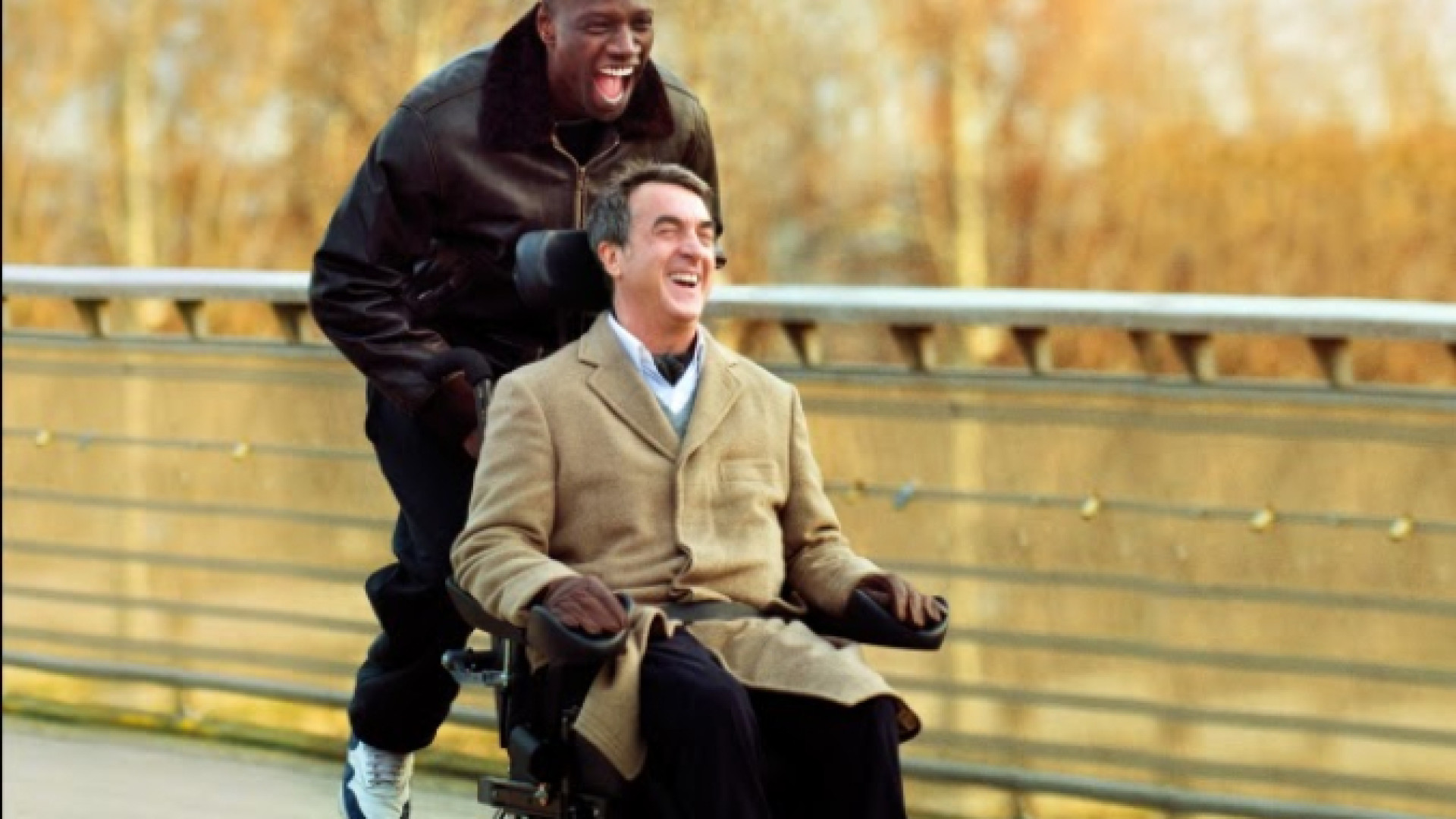 Immagine di Disabilità oltre i pregiudizi, 8 film per uno sguardo umano