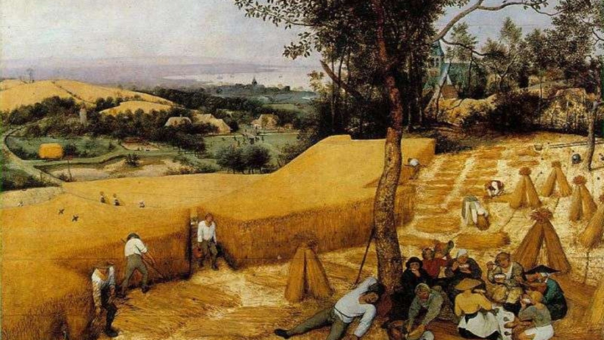 Immagine di Nel mondo per essere fecondi non perfetti