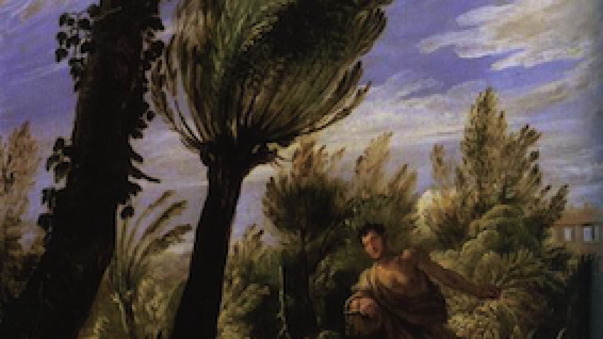Immagine di Pazienza e fiducia anche per chi semina la zizzania
