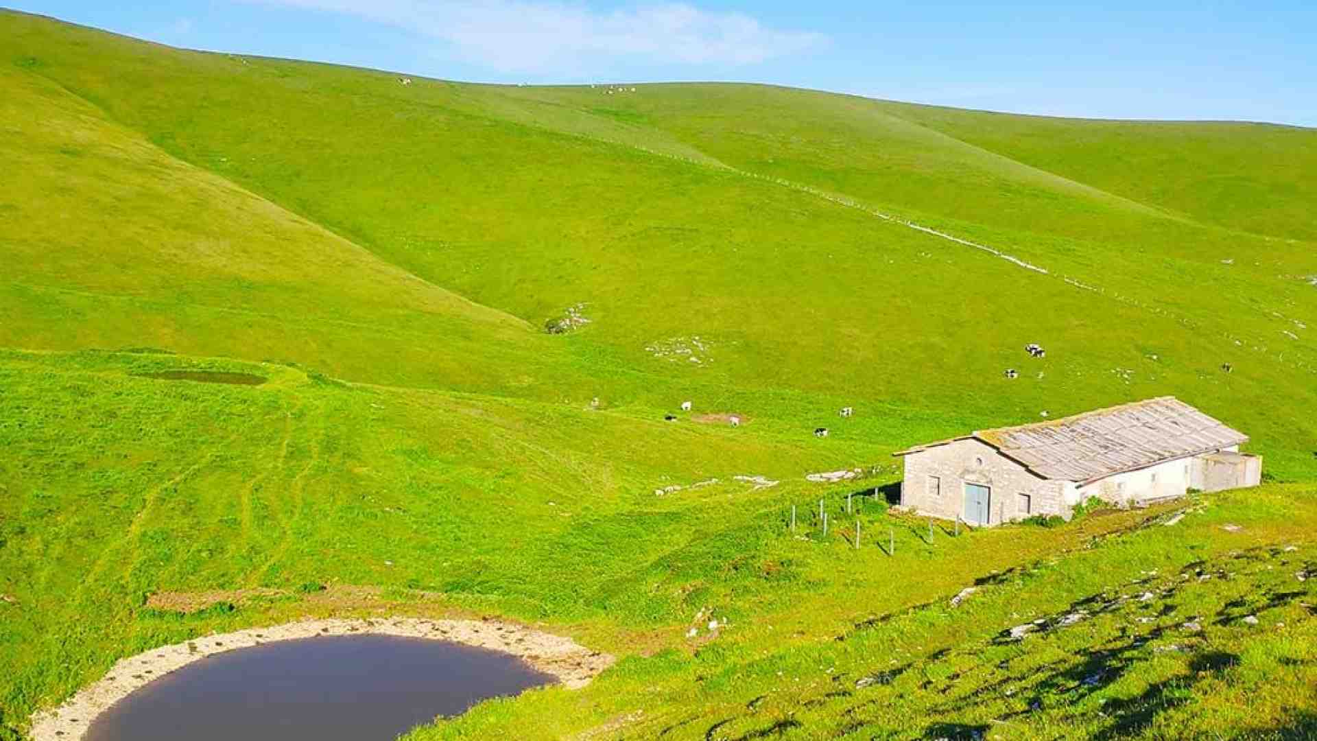 Immagine di Estate di prossimità riscoprendo la Lessinia