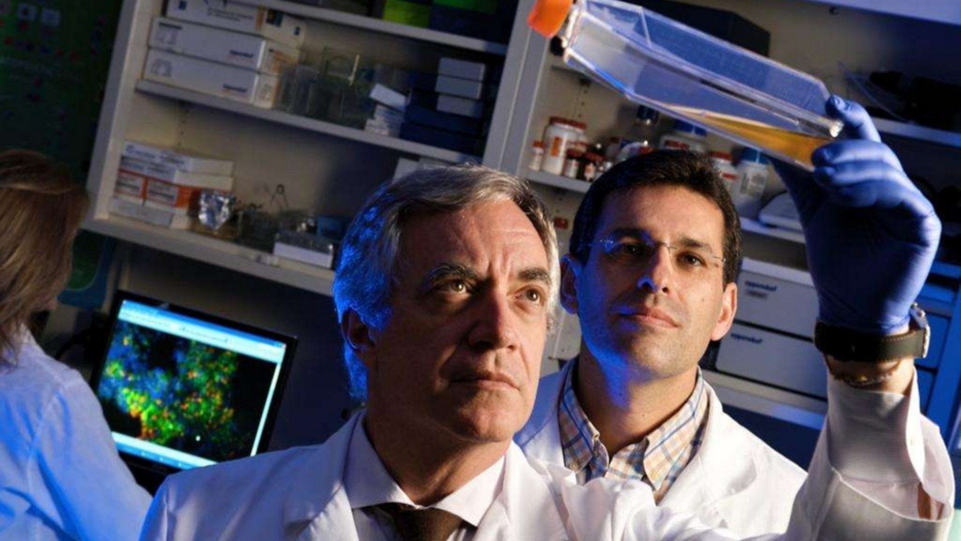 Immagine di Dalle staminali i farmaci anticovid, il punto sugli studi
