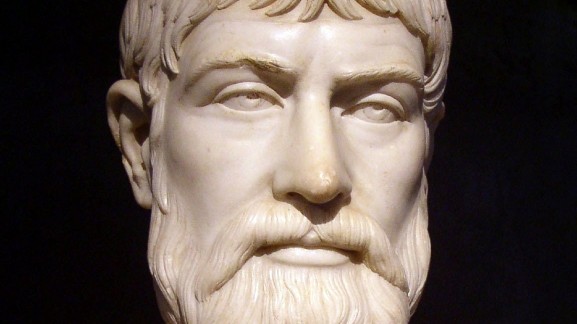 Immagine di L'invincibile armonia dei voli di Pindaro