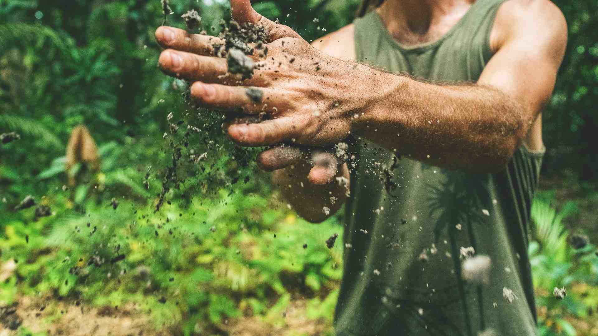 Immagine di Mani sfruttate per portare cibo sulle nostre tavole
