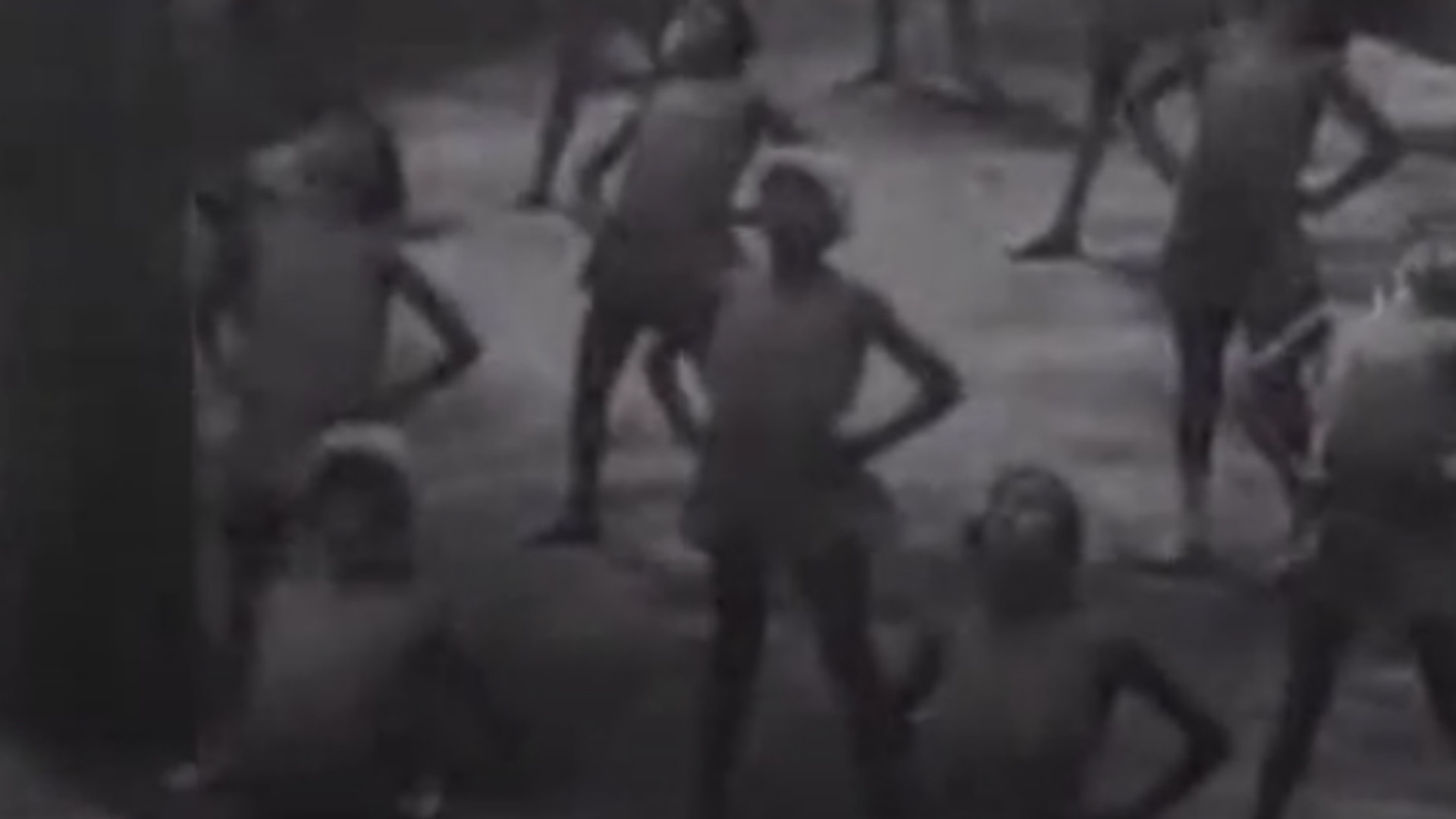 Immagine di La lunga estate alle colonie padane